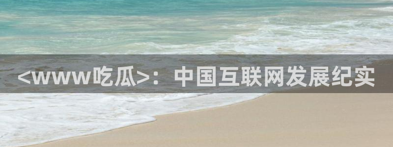 www.吃瓜：<www吃瓜>：中国互联网发展纪实