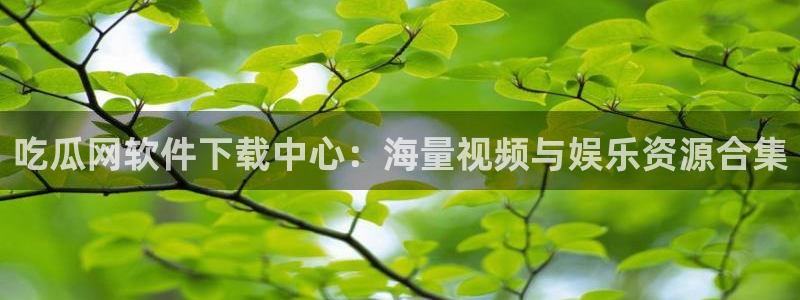 高血糖可以吃瓜吗