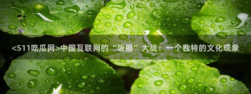 51吃瓜最新官网是多少：<511吃瓜网>中国互联网的“饭圈”大战：一个独特的文化现象