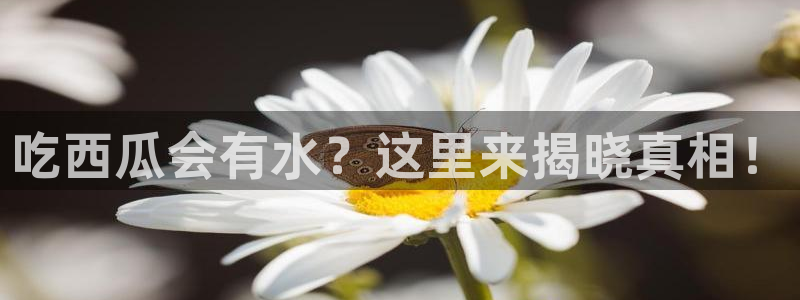 51吃瓜热门吃瓜