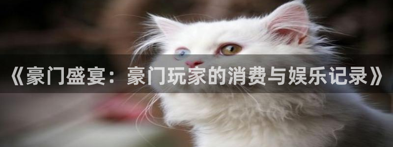 吃瓜吃到自己死讯：《豪门盛宴：豪门玩家的消费与娱乐记录》