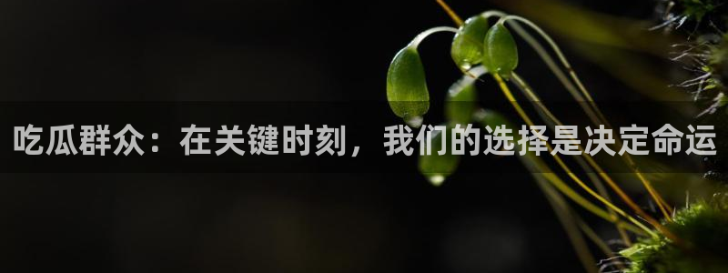 51cg1.ct吃瓜：吃瓜群众：在关键时刻，我们的选择是决定命运