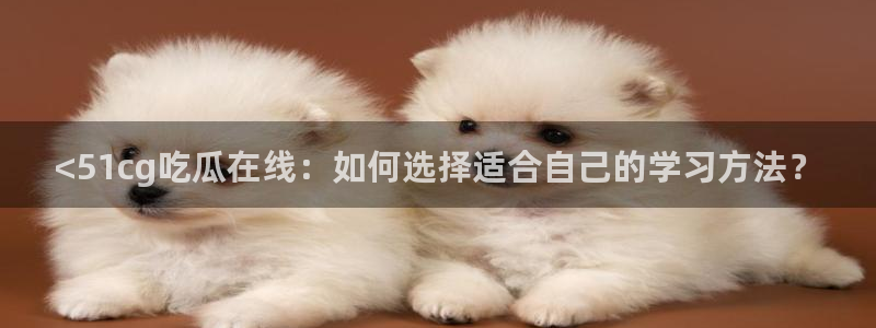 吃瓜小说：<51cg吃瓜在线：如何选择适合自己的学习方法？