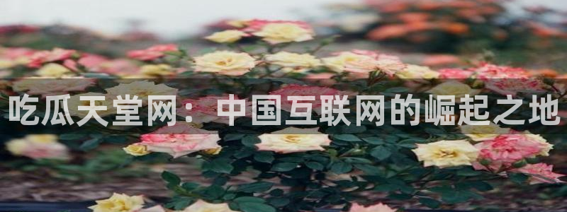 ccgg今日吃瓜