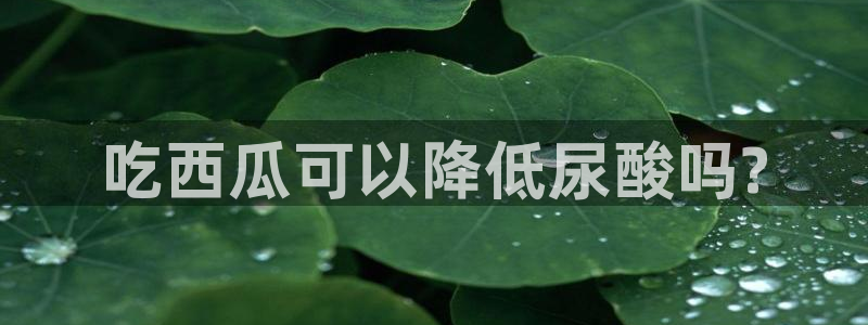 51吃瓜最新官网是多少