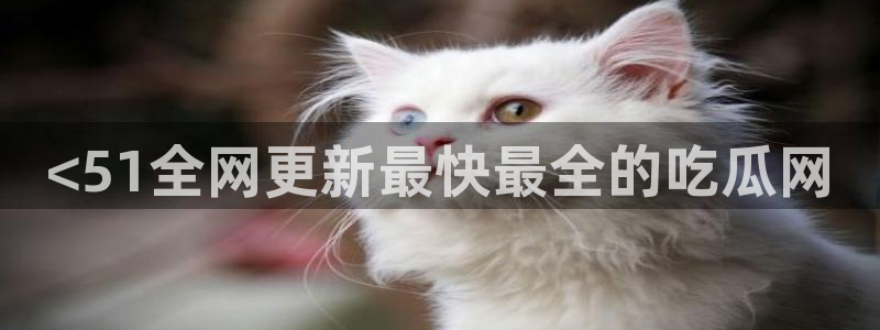 51cg每日吃瓜