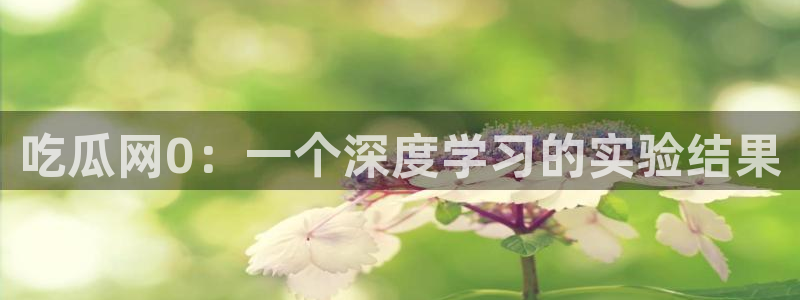 51.cgfun吃瓜:吃瓜网0:一个深度学习的实验结果