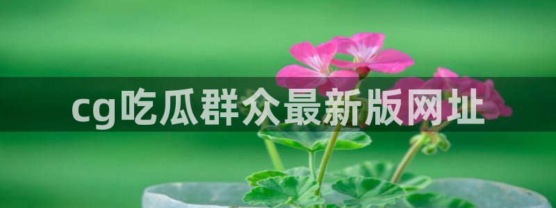 cg吃瓜群众最新版网址：cg吃瓜群众最新版网址