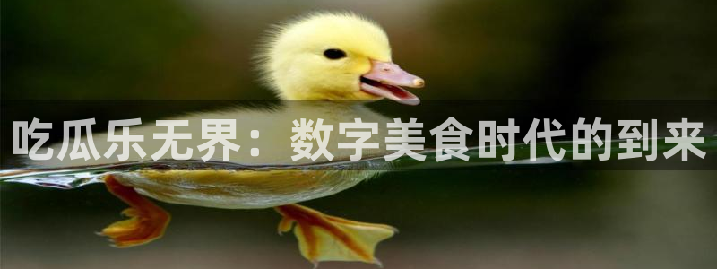 吃瓜是什么意思：吃瓜乐无界：数字美食时代的到来