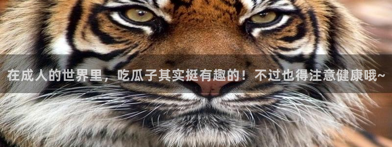 长生武道从九龙夺嫡开始吃瓜：在成人的世界里，吃瓜子其实挺有趣的！不过也得注意健康哦~