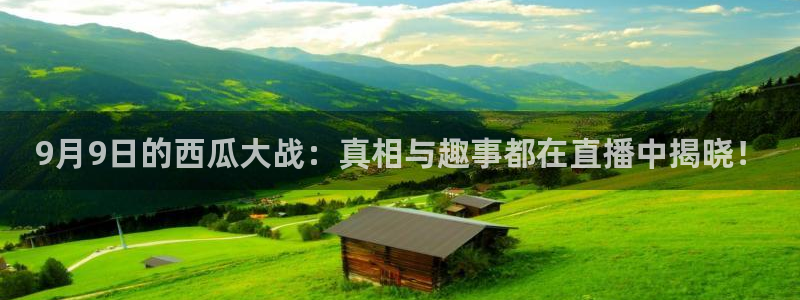 51吃瓜网 张津瑜：9月9日的西瓜大战：真相与趣事都在直播中揭晓！