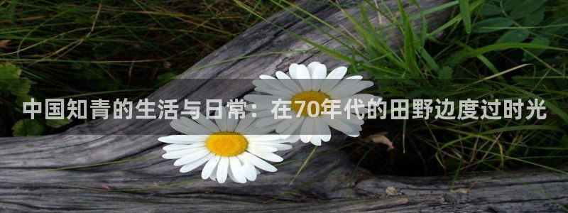 黑料 爆料：中国知青的生活与日常：在70年代的田野边度过时光
