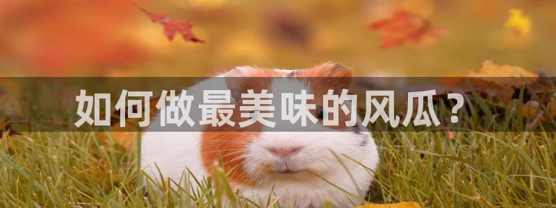 51cg吃瓜网每日吃瓜：如何做最美味的风瓜？