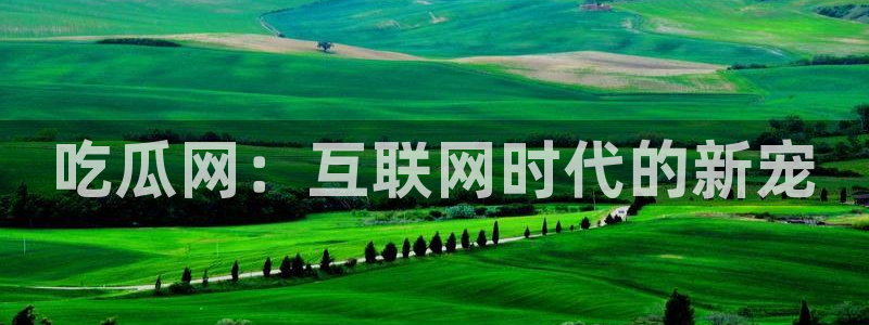 吃瓜吃到自己头上：吃瓜网：互联网时代的新宠
