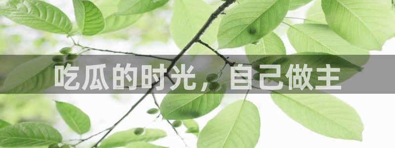 对照组在大杂院吃瓜[七零]：吃瓜的时光，自己做主