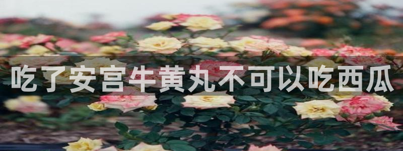 黑料下载：吃了安宫牛黄丸不可以吃西瓜