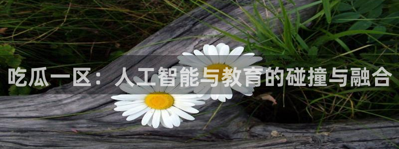 www.黑料.com：吃瓜一区：人工智能与教育的碰撞与融合
