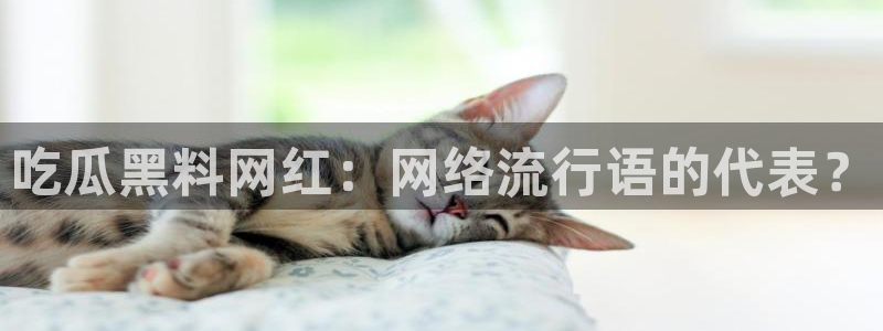 51吃瓜网张津瑜:吃瓜黑料网红:网络流行语的代表?