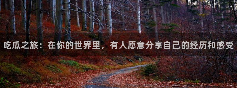 51吃瓜今日吃瓜热门吃瓜:吃瓜之旅:在你的世界里,有人愿意分享自己的经历和感受
