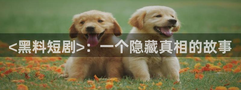 51cgfun吃瓜网 必看大瓜:<黑料短剧>:一个隐藏真相的故事